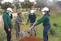 Saving the planet: Africa50 staff plant trees to commemorate Green Week 