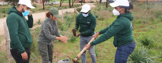 Protéger la planète : le personnel d'Africa50 plante des arbres pour marquer la Semaine verte