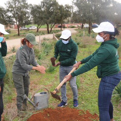 Protéger la planète : le personnel d'Africa50 plante des arbres pour marquer la Semaine verte