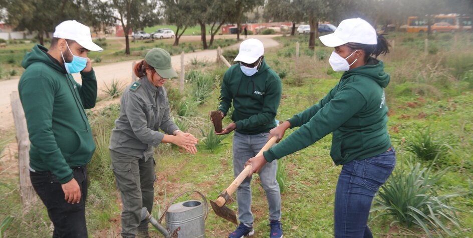 Protéger la planète : le personnel d'Africa50 plante des arbres pour marquer la Semaine verte