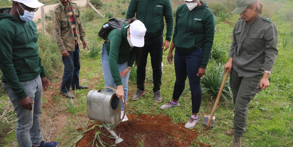 Protéger la planète : le personnel d'Africa50 plante des arbres pour marquer la Semaine verte