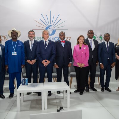 COP27: African and global partners launch multi-billion alliance for green infrastructure