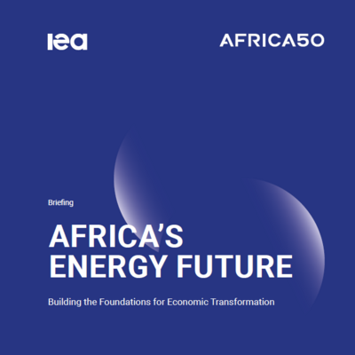 Africa's Energy Future: Building the Foundations for Economic Transformation